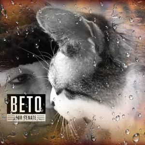 Meet your Posher, Delynn